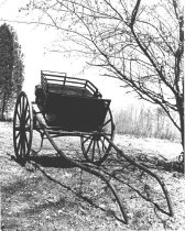 Surrey Cart
